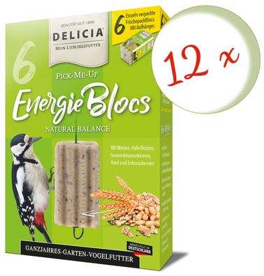 12 x FRUNOL DELICIA® Delicia® Pick-Me-Up Energieblocs, 6 Stück