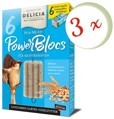 3 x FRUNOL DELICIA® Delicia® Pick-Me-Up Powerblocs, 6 Stück