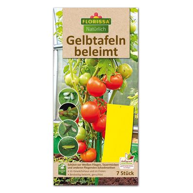 Florissa Gelbtafeln, 7 Stück