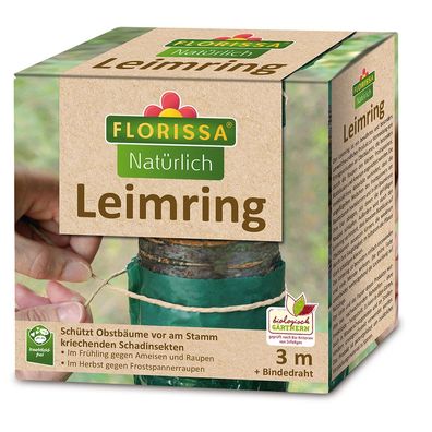 Florissa Leimring, 3 m