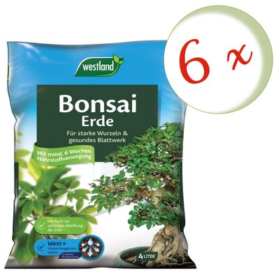 6 x WESTLAND® Bonsai Erde, 4 Liter