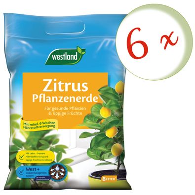 6 x WESTLAND® Zitruspflanzen Erde, 8 Liter