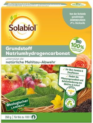 SBM Solabiol Grundstoff Natriumhydrogencarbonat, 350 g