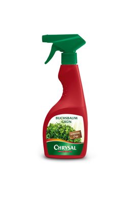 Chrysal Buchsbaum Grün, 500 ml