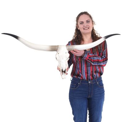 Deko Kuhschädel HWC-D32, Stierkopf Tierkopf Longhorn Trophäe, Polyresin 103x43x11cm