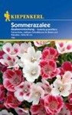 Sommerazalee Azaleenmischung Kiepenkerl Samen