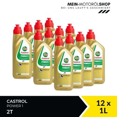 Castrol Power 1 2T 12x1 Liter