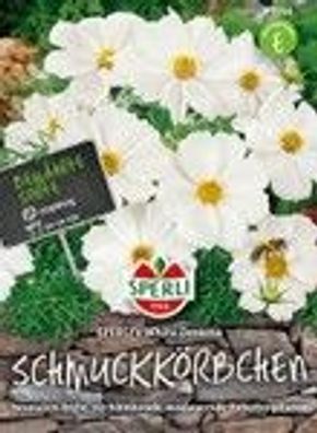 Schmuckkörbchen White Dreams Samen