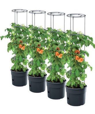 4x Tomatentopf Tomatenpflanzen Pflanzkübel Schutzfolie 28L Tomato Gurken Growe