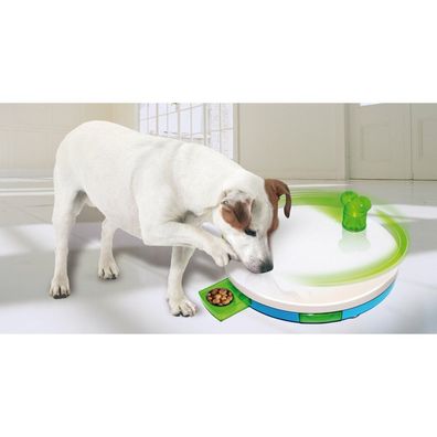 Dog Training Toy