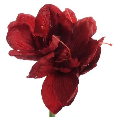 GASPER Amaryllis Rot 66 cm - Kunstblumen