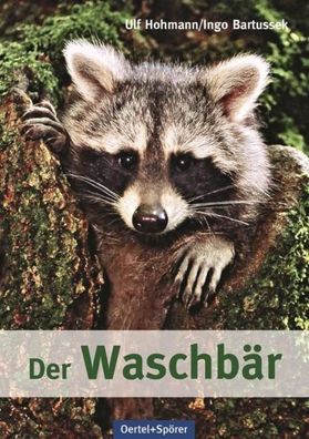 Der Waschbär, Ulf Hohmann