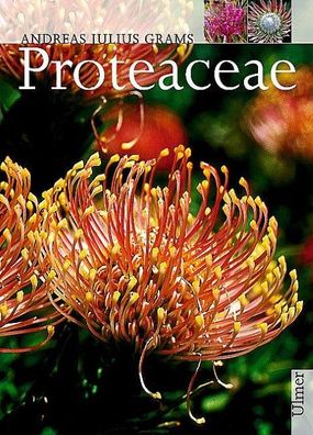 Proteaceae, Andreas Julius Grams