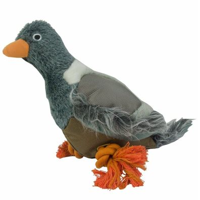 Wild Life Dog Pigeon (Taube)