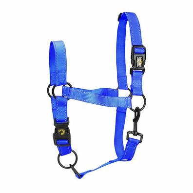 Excellent Horse Premium Halfter XL Blau