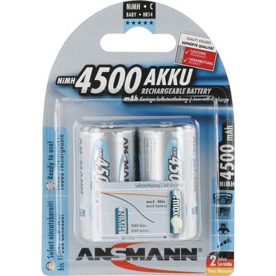 maxE 4500mAh NiMh (silber)