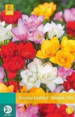 Freesia double mix Zwiebeln 20 Zwiebeln Jub