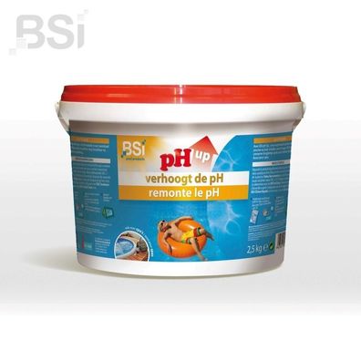 Ph up Pulver 2,5 kg Poolpflege Bsi