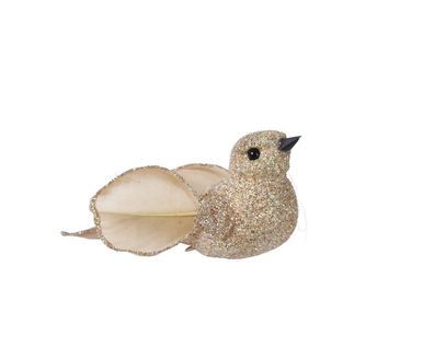 Vogelschaum l10b4h4 cm champagner 2 Stk. Weihnachten Decoris