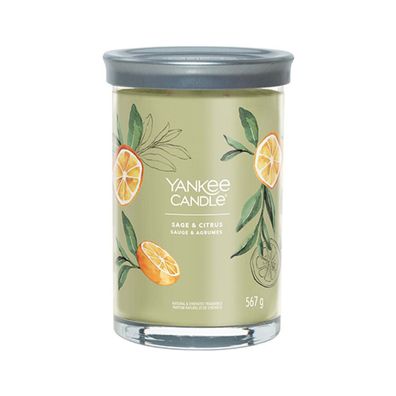 Aromatic candle Signature tumbler large Sage & Citrus 567 g