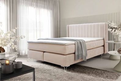 FURNIX Boxspringbett Roselyn 160x200 mit Metallbeine und Topper SV1 Beige