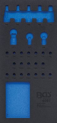 Werkstattwageneinlage 1/3 | leer | für Art. 4097 BGS