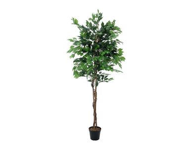 Europalms Ficus-Benjamini Multi-Stamm, Kunstpflanze, 210cm