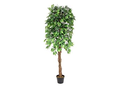 Europalms Ficus-Benjamini Multi-Stamm, Kunstpflanze, 180cm