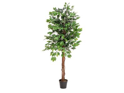 Europalms Ficus-Benjamini Multi-Stamm, Kunstpflanze, 150cm