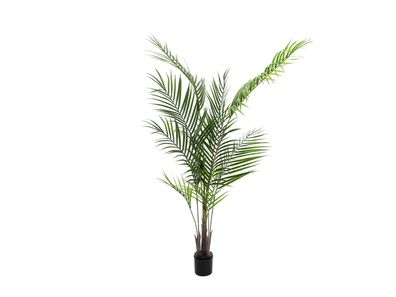 Europalms Großblatt-Areca, Kunstpflanze, 165cm