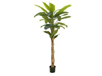 Europalms Bananenbaum, Kunstpflanze, 210cm