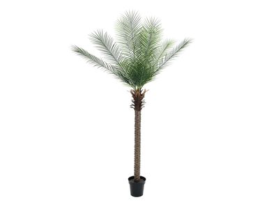 Europalms Phönix Palme deluxe, Kunstpflanze 220cm