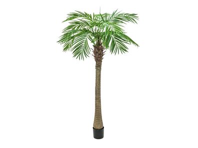 Europalms Phönixpalme luxor, Kunstpflanze, 210cm