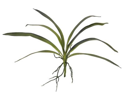 Europalms Orchideenblatt (EVA), künstlich, grün, 45cm