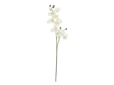 Europalms Orchideenzweig, künstlich, creme-weiß, 100cm