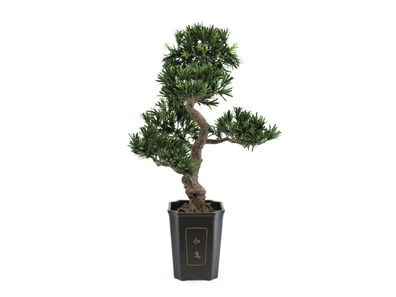 Europalms Bonsai Podocarpus, Kunstpflanze, 80cm