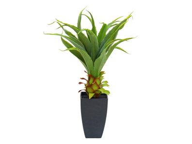 Europalms Agave im Topf, Kunstpflanze, 75cm