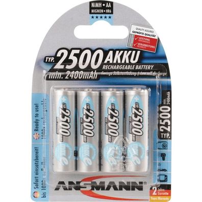 maxE 2500mAh NiMh (silber)