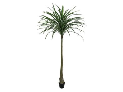 Europalms Dracena, künstlich, grün, 220cm