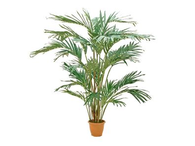 Europalms Kanarische Dattelpalme, Kunstpflanze, 240cm