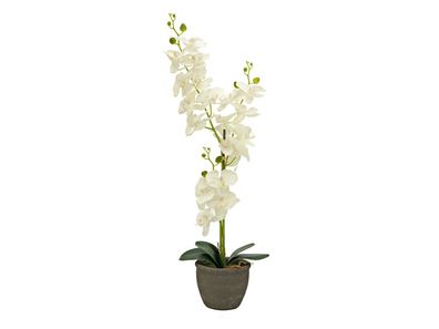 Europalms Orchidee, Kunstpflanze, cremefarben, 80cm