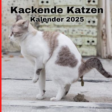 Kalender 2025 Kackende Katzen - 12-seitiger Monatskalender - lustiges Geschenk