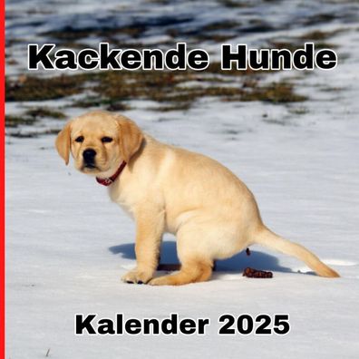 Kalender 2025 Kackende Hunde - 12-seitiger Monatskalender - lustiges Geschenk