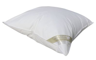 Betten Hofmann Basic Allergiker Kopfkissen Faserkissen 80x80 cm Hohlfaser 850 g