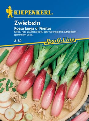 Zwiebeln Lauchzwiebeln Rossa Lunga di Firenze Rote von Florenz rot