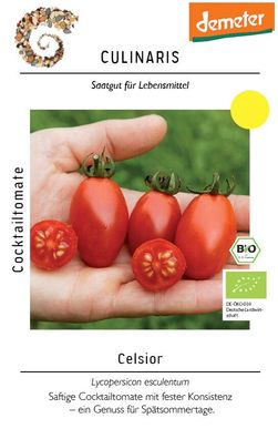Cocktailtomate Celsior saftige, geschmackvolle Früchte