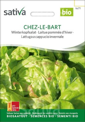 Sativa-Saatgut Chez-le-Bart - Winterkopfsalat Samen