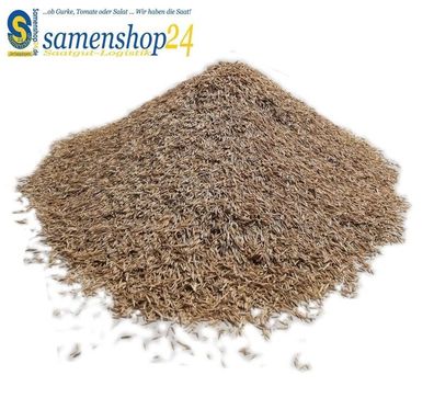 Samenshop24® Schattenrasen mit Poa supina 1kg für 50m²