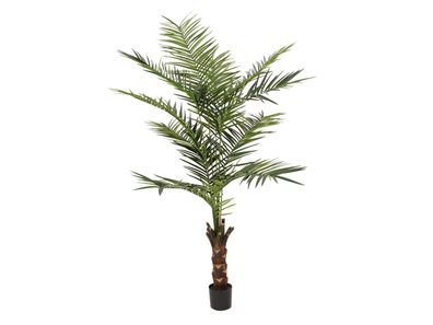 Europalms Kentia Palme, Kunstpflanze, 240cm