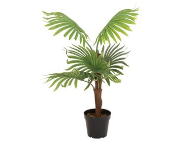 Europalms Fächerpalme, Kunstpflanze, 88cm